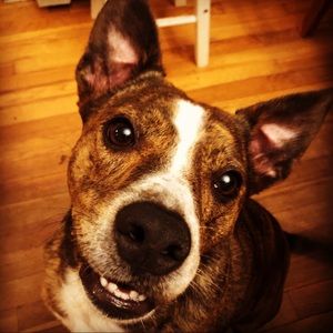 Meet your Posher, Crystal